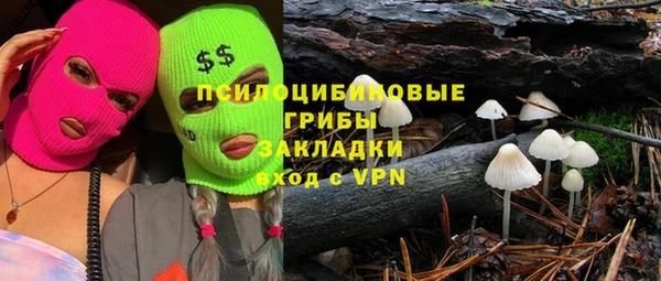 apvp Ужур