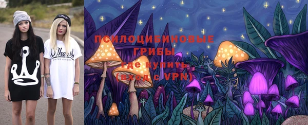 винт Бородино