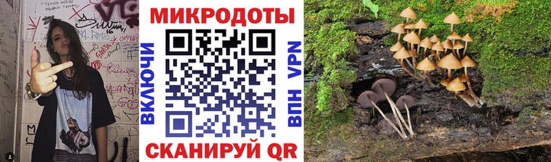 shop формула  где можно купить   Вилючинск  Галлюциногенные грибы MAGIC MUSHROOMS 